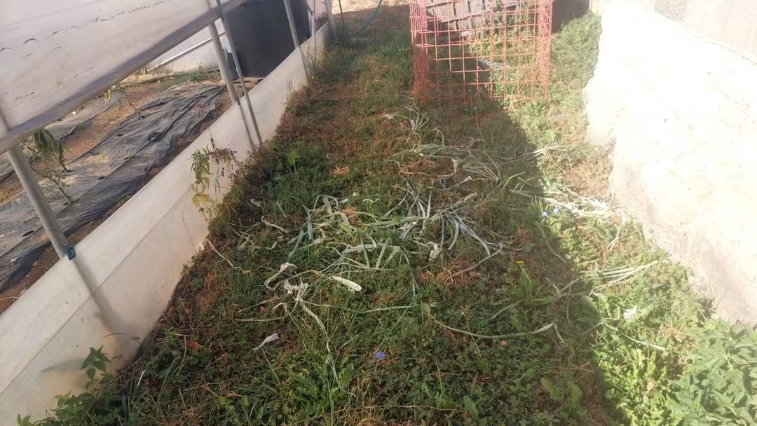 Sramotna krađa plastenika Centra „Duga“,Novi Travnik 