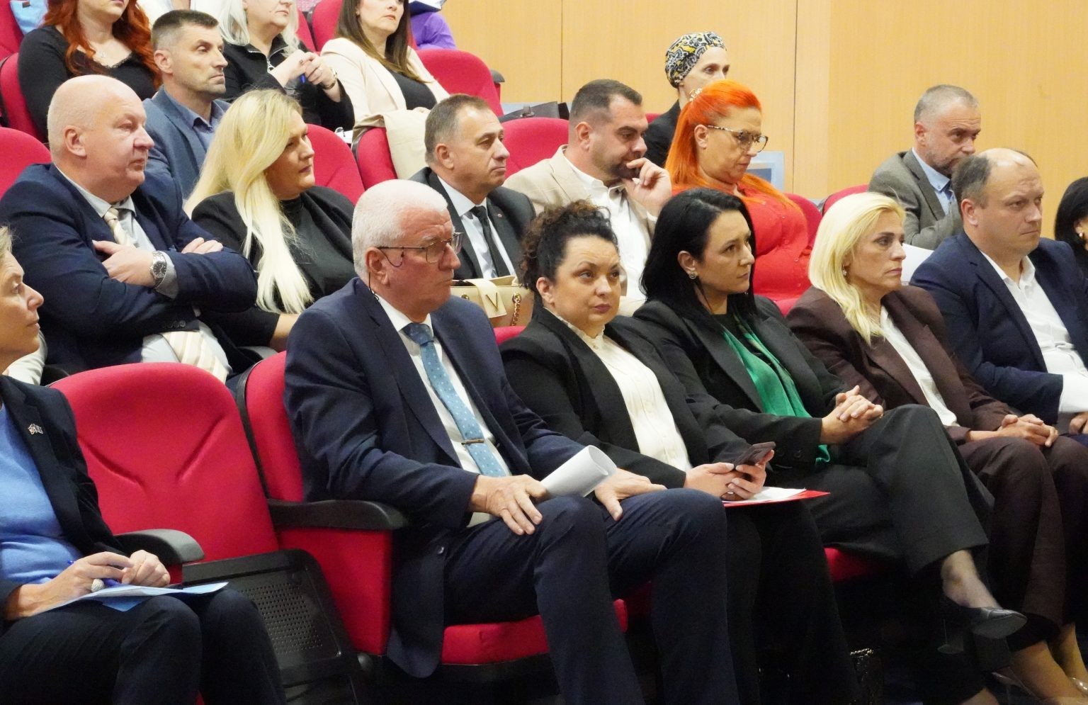 17 konkretnih koraka: Sabor KSB o jačanju zaštite žrtava nasilja