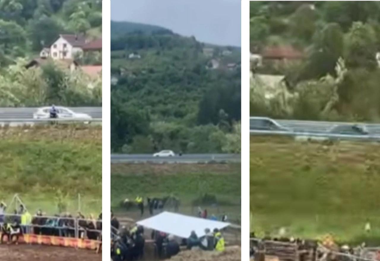 Korida iz prvog reda: Kad bikovi nadjačaju prometna pravila