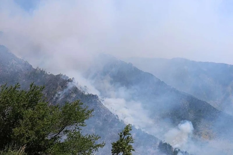 Požar kod Jajca zahvatio sedam hektara šume, helikopter nije mogao gasiti