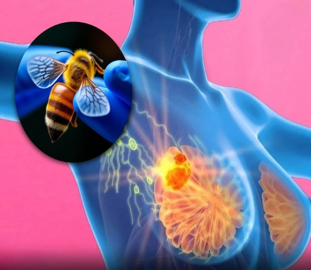 Može li sastojak iz pčelinjeg uboda postati oružje protiv teških tumora?