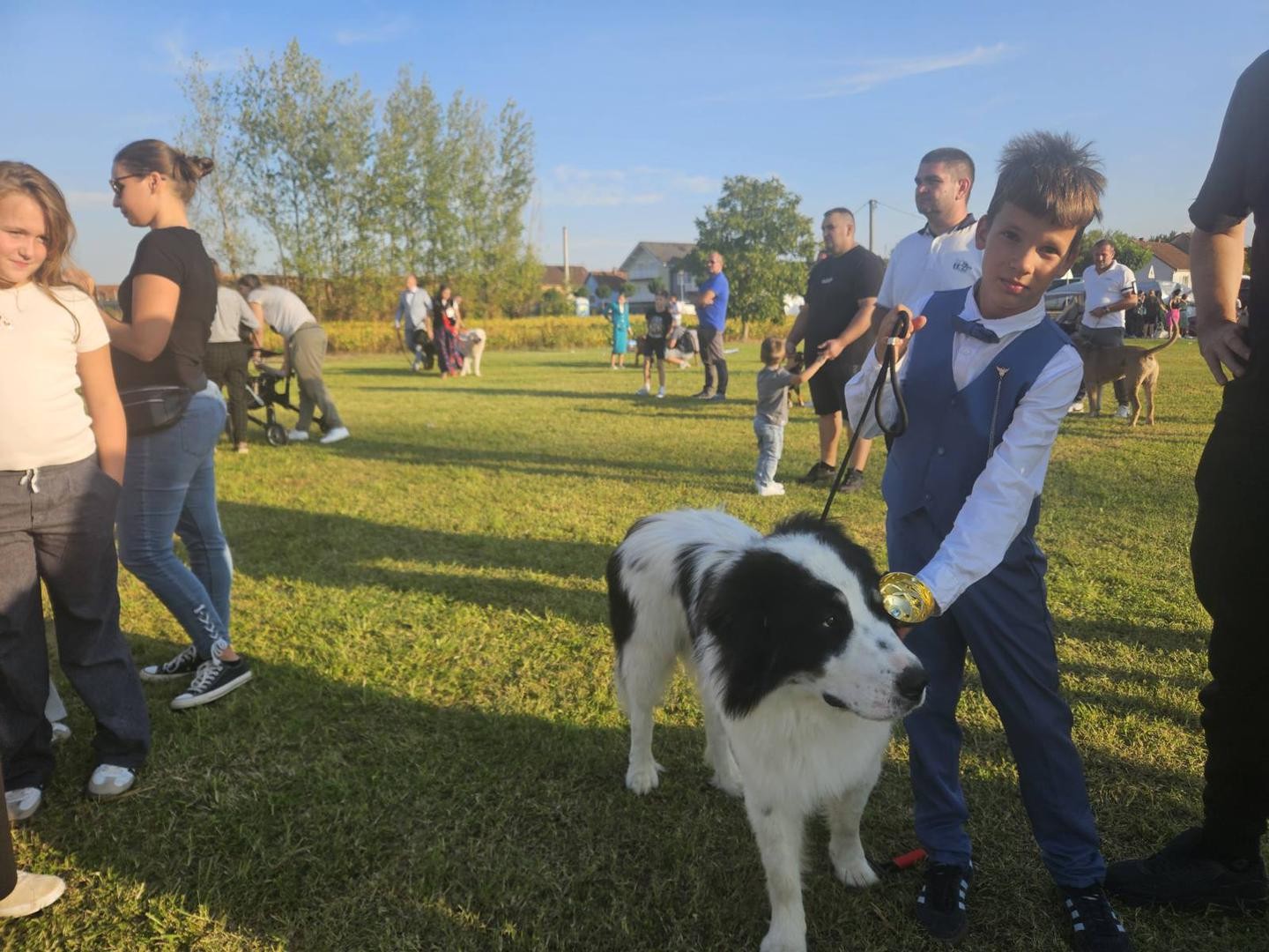 Šesta Međunarodna izložba pasa "Dog show Domaljevac"