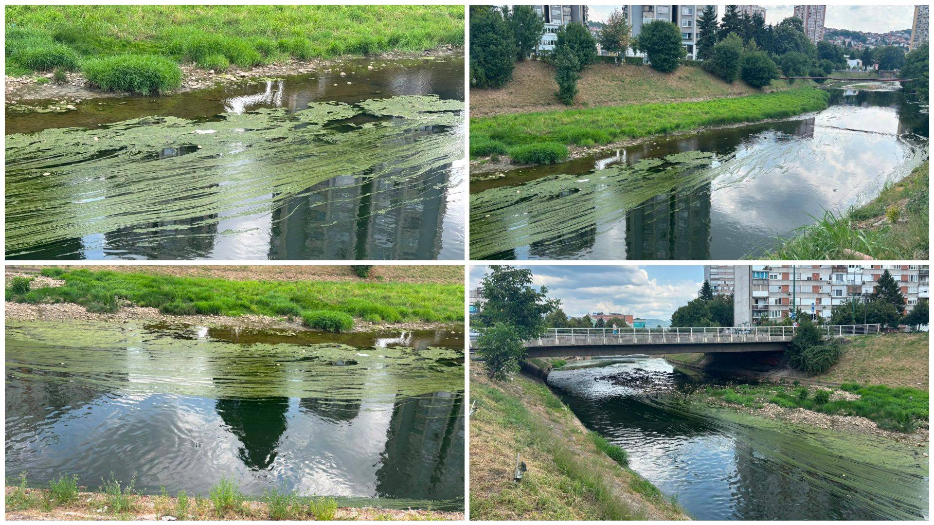 Miljacka pozelenjela u Sarajevu: Stručnjaci traže hitnu analizu vode