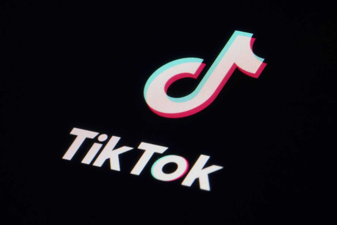EU uvodi nova pravila korištenja TikTok-a, jesu li na udaru i Instagram i Facebook?