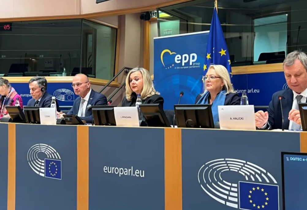 BiH tema konferencije u EP, Zovko upozorila: ‘Da bi izišla iz daytonske faze…’