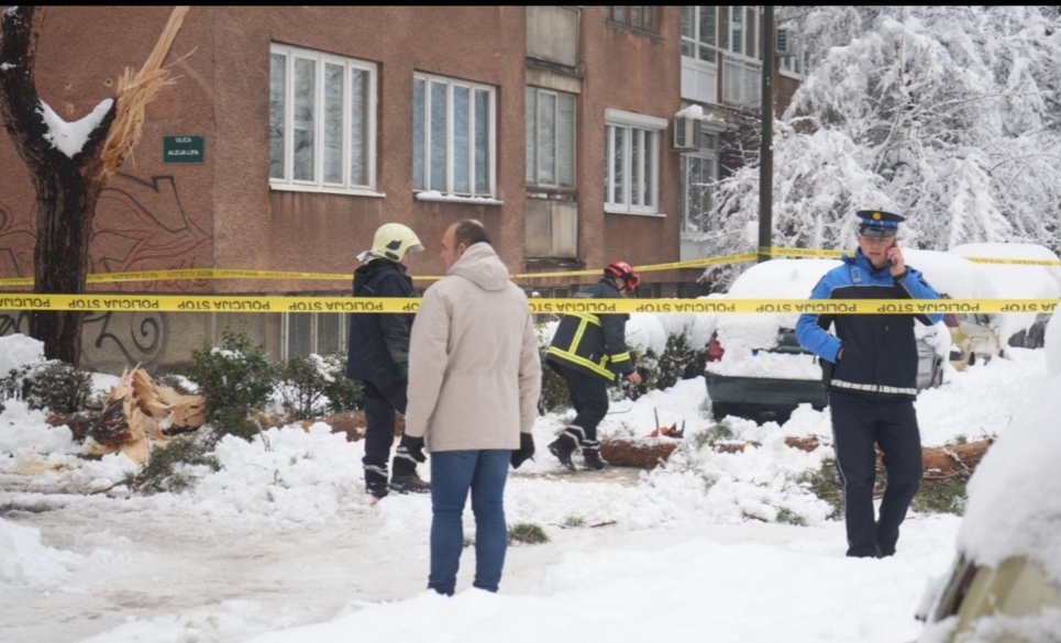 Stablo pod težinom snijega usmrtilo ženu u Sarajevu