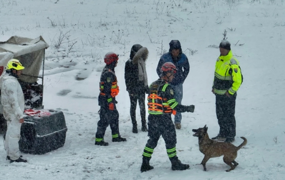 BiH ostvarila veliki iskorak u obuci potražnih pasa, međunarodno licencirani prema IRO standardima.