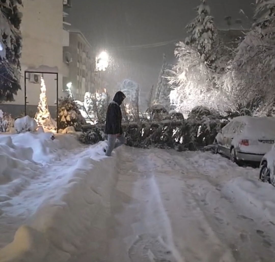 Snijeg srušio drvo u ulici Petra Svačića